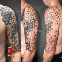 5D747820-0B29-4687-81C2-665159323D7D